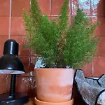 Σπίτι διακοπών Casas Lentas Slow Living-obidos Sobral (Leiria)