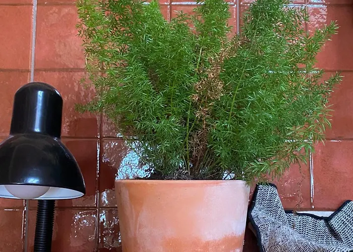 別荘 Casas Lentas Slow Living-obidos Sobral